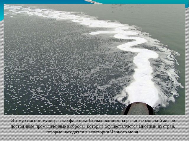 Познавательная презентация для детей "Международный день Черного моря"