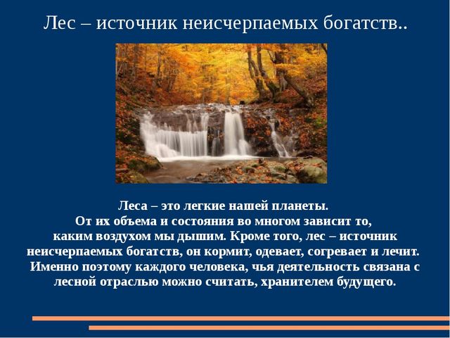 Познавательная презентация для детей "Российский день леса"