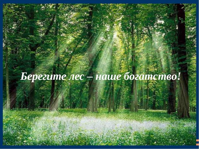 Познавательная презентация для детей "Российский день леса"