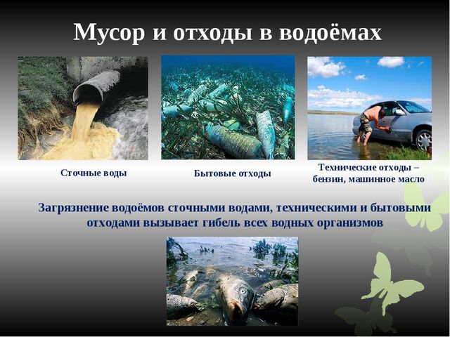 Познавательная презентация для дошкольников "Человек, будь человеком!"