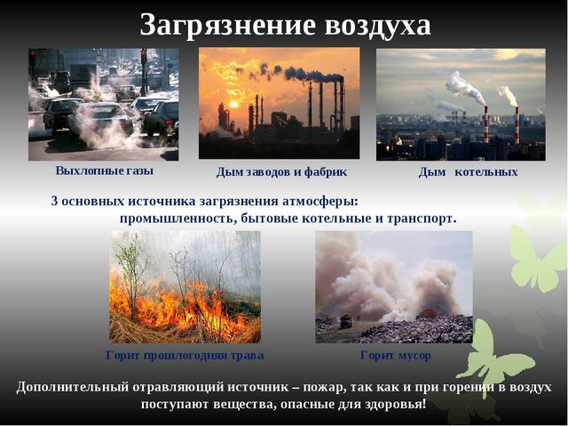 Познавательная презентация для дошкольников "Человек, будь человеком!"