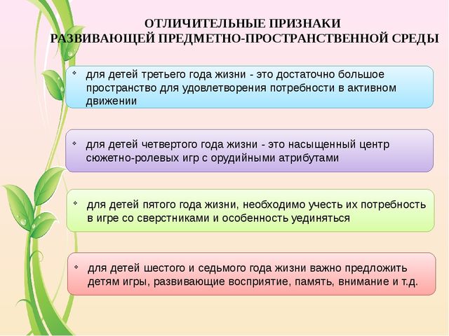 Организация развивающей предметно-пространственной среды в дошкольной организайии