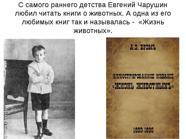 Презентация-знакомство с творчеством Е.И.Чарушина.