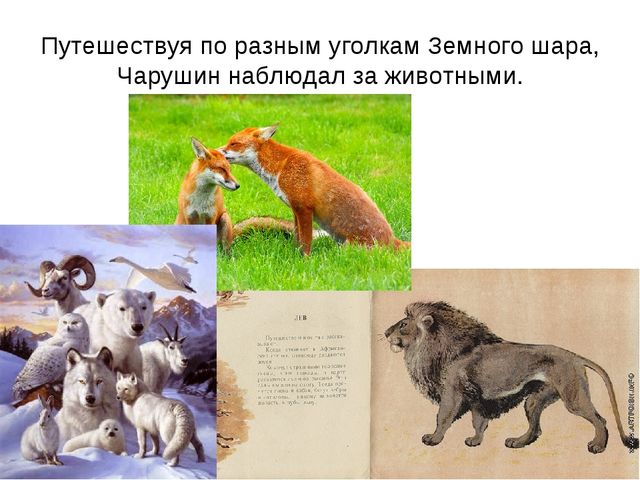 Презентация-знакомство с творчеством Е.И.Чарушина.