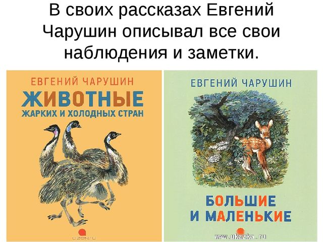 Презентация-знакомство с творчеством Е.И.Чарушина.