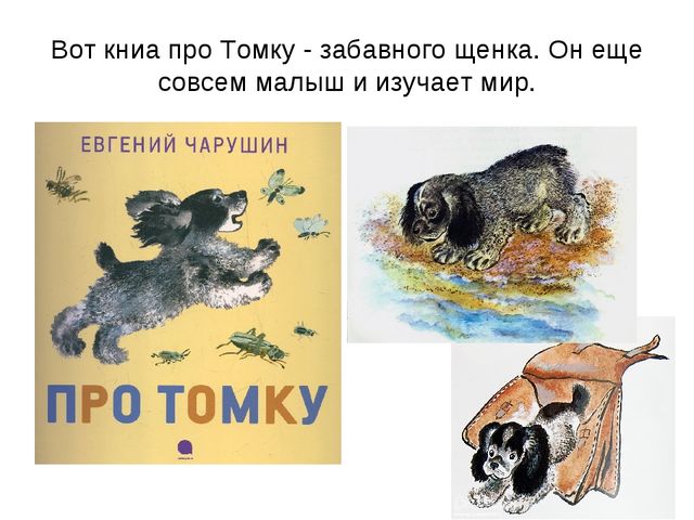 Презентация 1 класс чарушин томка и корова