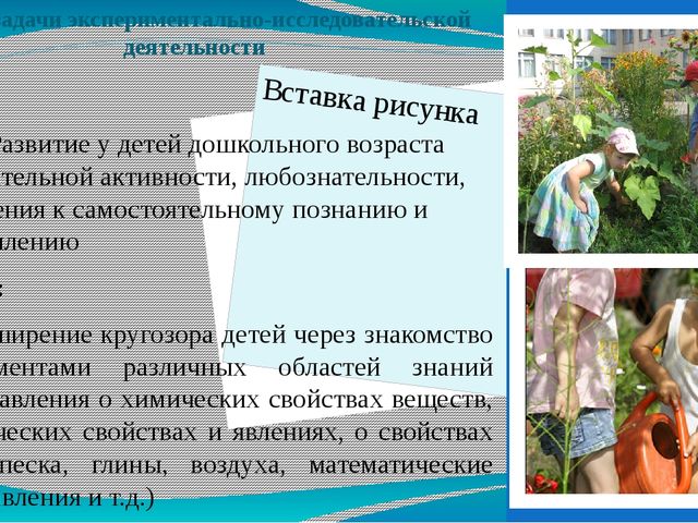 Организация экспериментально-исследовательской деятельности детей дошкольного возраста