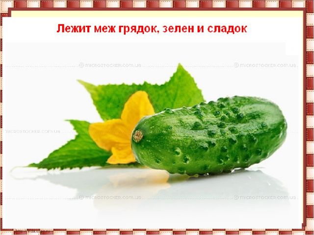 Презентация по развитию речи "Здравствуй, осень!"