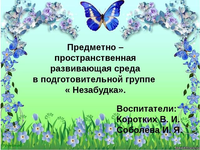 Презентация " Пространственно- развивающая среда в подготовительной группе " Незабудка".