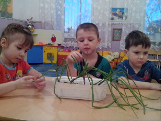 Презентация " Пространственно- развивающая среда в подготовительной группе " Незабудка".