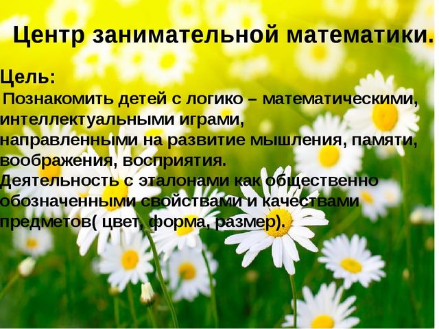 Презентация " Пространственно- развивающая среда в подготовительной группе " Незабудка".