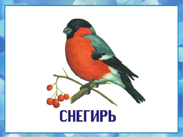 Презентация на тему "Зимующие птицы"