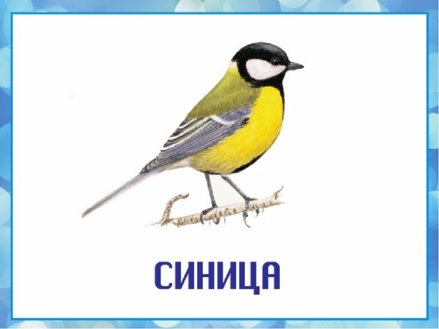 Презентация на тему "Зимующие птицы"