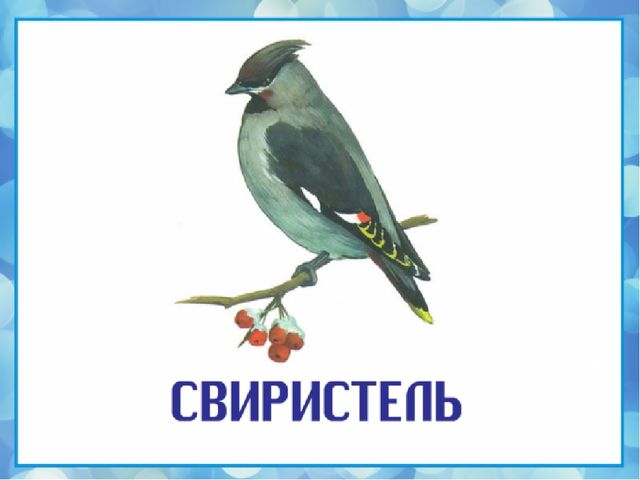 Презентация на тему "Зимующие птицы"