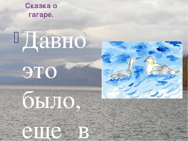 Презентация по ознакомлению с окружающим Краснозобая гагара старшая группа ДС