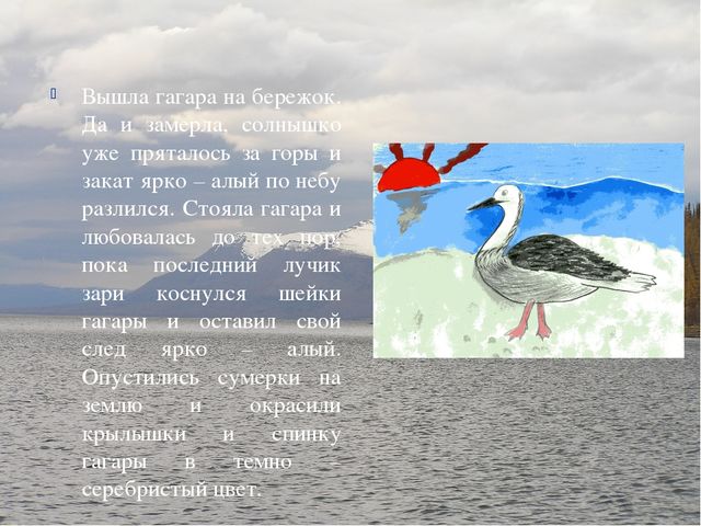 Презентация по ознакомлению с окружающим Краснозобая гагара старшая группа ДС