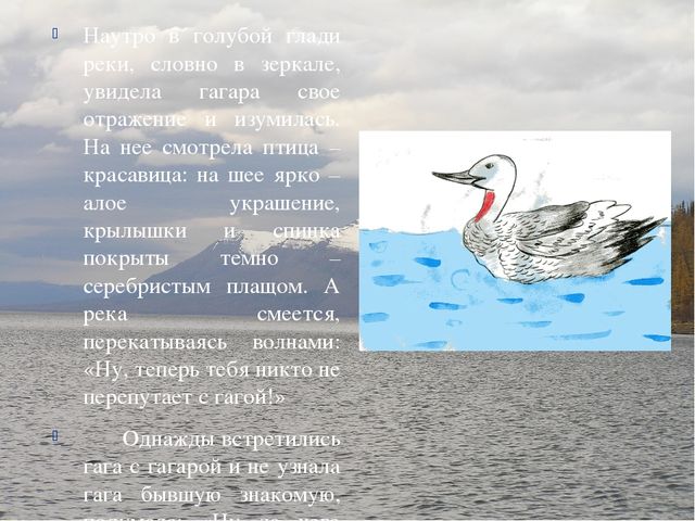 Презентация по ознакомлению с окружающим Краснозобая гагара старшая группа ДС