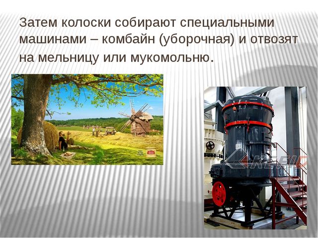 Презентация "От зернышка до каравая"