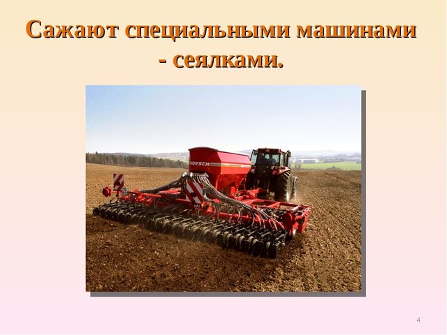 Презентация по естествознанию "Откуда хлеб пришёл"