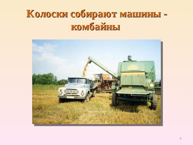 Презентация по естествознанию "Откуда хлеб пришёл"