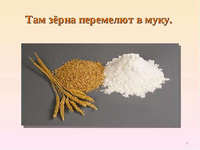 Презентация по естествознанию "Откуда хлеб пришёл"