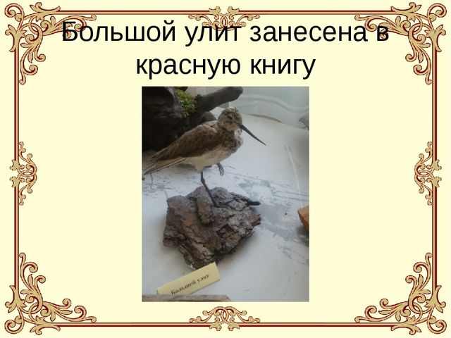 Презентация "Путешествие по музею города Верхний Уфалей"