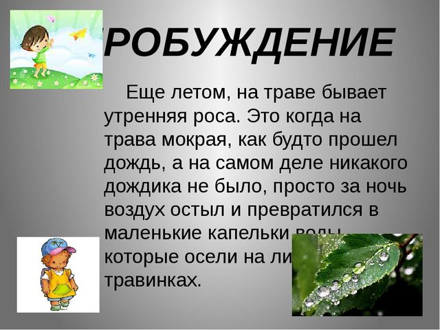 Обучающая презентация для детей "Части суток"
