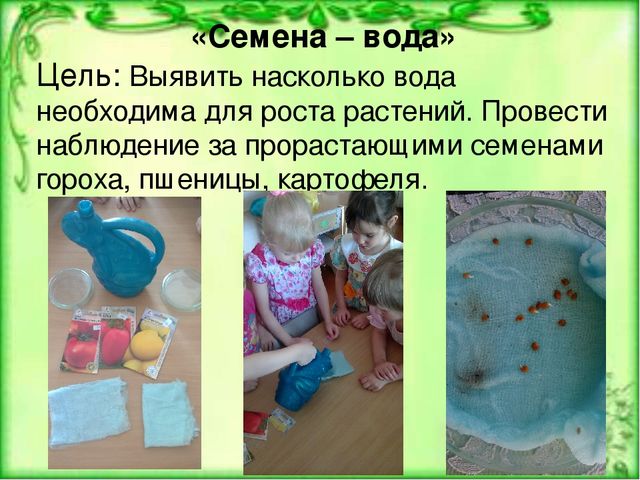 Презентация «Организация опытно-экспериментальной деятельности дошкольников в условиях реализации ФГОС ДО».