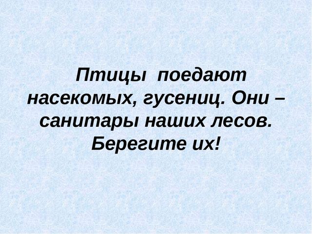 Презентация "Перелётные птицы Ямала"