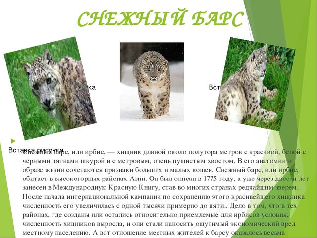 Презентация по окружающему миру "Красная книга"