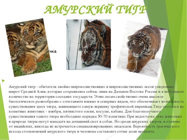 Презентация по окружающему миру "Красная книга"
