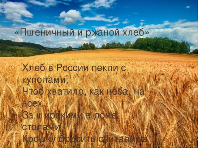 Презентация к НОД по УМК "Предшкола нового поколения"