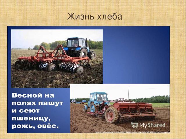 Презентация к НОД по УМК "Предшкола нового поколения"