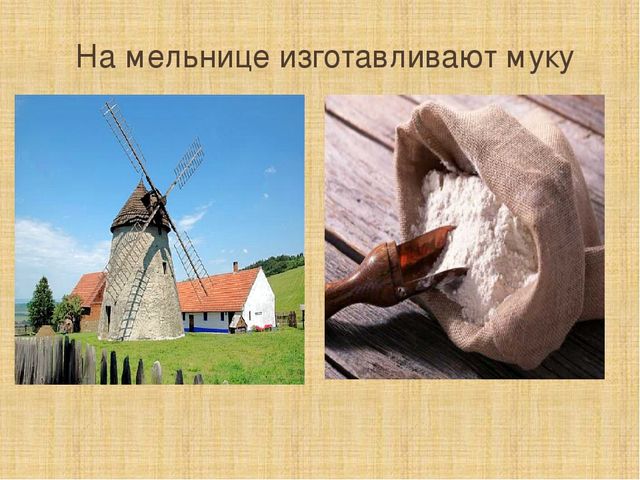 Презентация к НОД по УМК "Предшкола нового поколения"