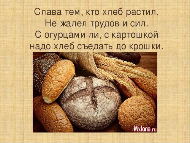 Презентация к НОД по УМК "Предшкола нового поколения"
