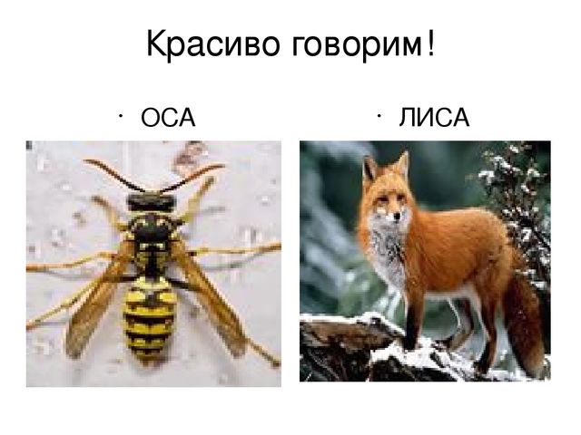 Презентация к логопедическому досугу по произведениям А.Л.Барто