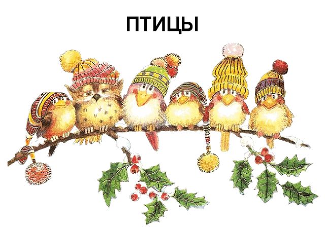 Презентация "Птицы нашего края"