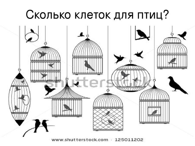 Презентация "Птицы нашего края"