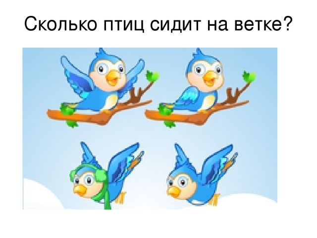 Презентация "Птицы нашего края"