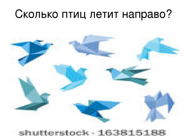Презентация "Птицы нашего края"