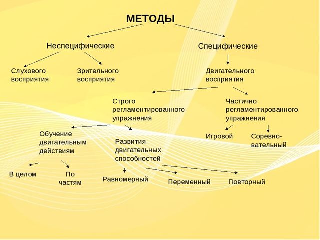 Организация и проведение физкультурных занятий(группа раннего возраста)