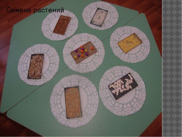 Мастер-класс "поделки из семян растений"