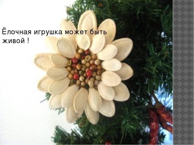 Мастер-класс "поделки из семян растений"