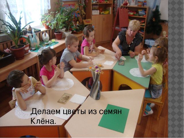 Мастер-класс "поделки из семян растений"