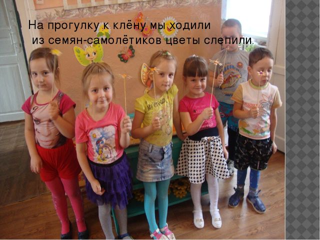 Мастер-класс "поделки из семян растений"