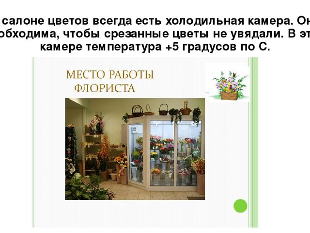 Презентация по профессии "Флорист"
