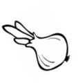 Shape15