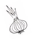 Shape20