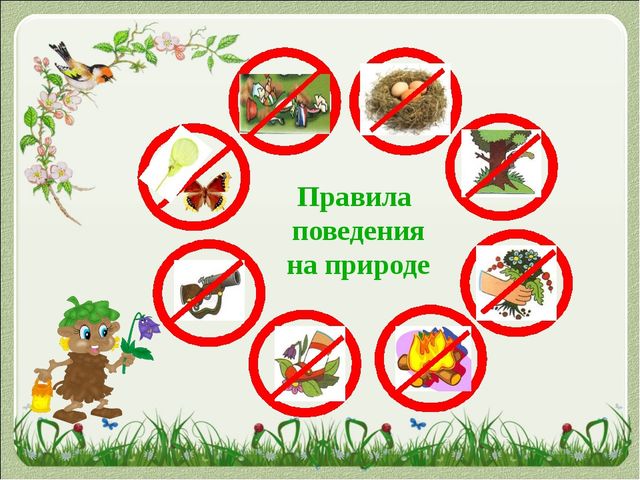 Презентация к интегрированному занятию по речевому развитию "Золотая осень" в средней группе