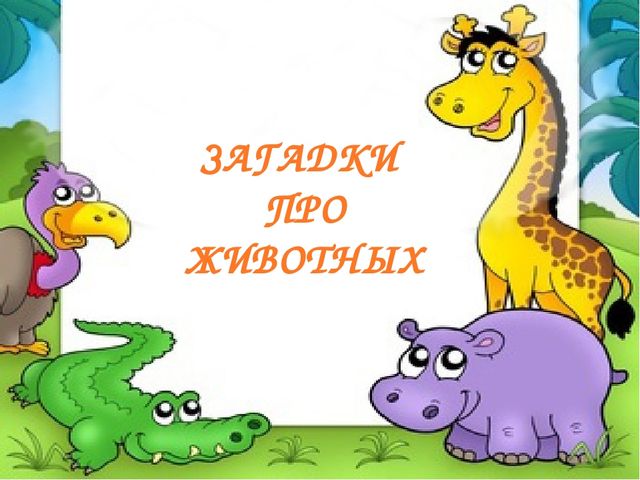 Интеллектуальная игра для дошколят "Загадки про животных"